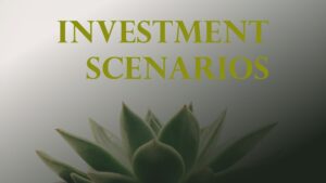 Investment Scenarios