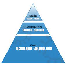 Flu Death Rates