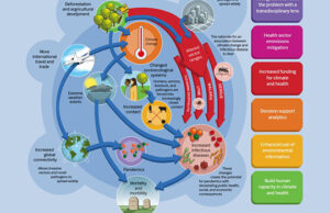 Factors Driving High Flu Rates